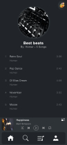 Play Tracks - PHP Web Music Player Screenshot 7