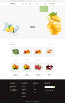 VeggoShop Pro - WordPress Multipurpose Theme Screenshot 5