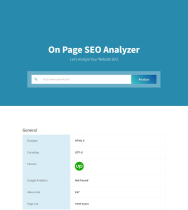 On-Page SEO Audit Tool Screenshot 1