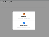 ZiLab ICO - Crypto ICO BSC WordPress Plugin Screenshot 5