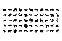 Animal and Mammal Vector  Screenshot 3