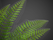 Ostrich Fern 3D Plant Low Poly Screenshot 7