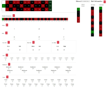 Roulette And  Blackjack Calculator Screenshot 3