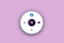CSS Share Icons Screenshot 3