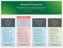 King Hosting Cart - 10 WHMCS Order Form Template Screenshot 1