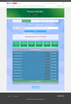 King Hosting Cart - 10 WHMCS Order Form Template Screenshot 19