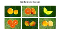 Butterfly - Fruit Shop HTML5 Landing Page Template Screenshot 4