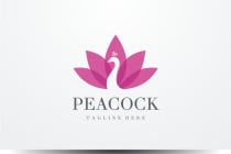 Peacock  Logo Screenshot 1