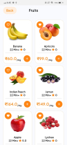 Grocery App - Grocery Delivery App Flutter Screenshot 11