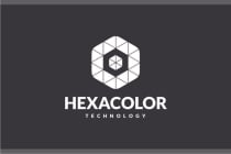 Hexagon Colorful Logo Template Screenshot 2