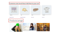 Product Information for WooCommerce  Screenshot 9