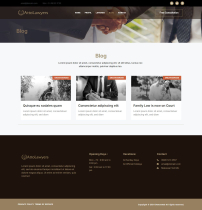 AttoLawyer - Lawyer & Attorney Elementor Kit Screenshot 2