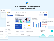 Flexy Bootstrap Admin Dashboard Template Screenshot 2
