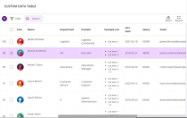 Custom Data Table PHP Screenshot 1