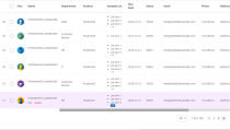 Custom Data Table PHP Screenshot 5