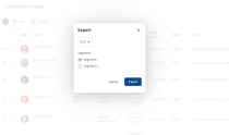 Custom Data Table PHP Screenshot 7