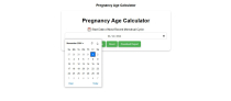 Pregnancy Age Calculator for Wordpress Screenshot 2