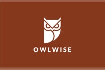 Owl Wise Logo Screenshot 2