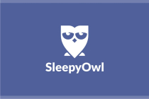 Sleepy Owl Logo Screenshot 2