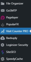 Advanced Page Visit Counter PRO WordPress Plugin Screenshot 3