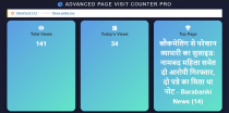 Advanced Page Visit Counter PRO WordPress Plugin Screenshot 6